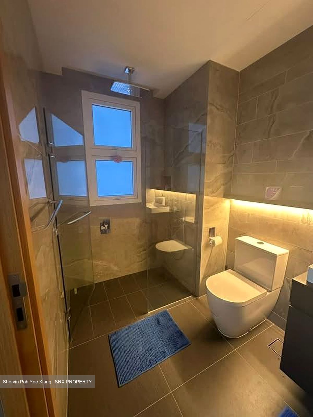 Jervois Treasures (D10), Apartment #588855761